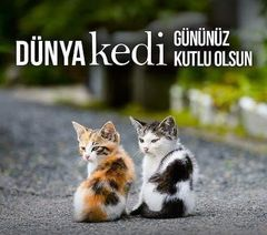 ihtiyar_33_ (@dede38__) on Twitter photo <a href="/avukatbahatttin/">MUSTAFA KEMALİN ASKERİ</a> <a href="/Aslican_33/">🇹🇷 Aslı 🇹🇷</a> <a href="/Fikriye59/">fikriye şimşek</a> <a href="/TC_TOPRAK_/">DENIZ</a> <a href="/zllktlr/">Zülal Kutluer</a> <a href="/zsoytan1881/">T.C Zuhal</a> <a href="/AtaminKiziyim/">ATAM'IN KIZI</a> <a href="/Ceyhan95249560/">Ceyhan</a> <a href="/leventakbas4/">T.C Levent.Akbaş🇹🇷🇹🇷🇹🇷🇹🇷</a> <a href="/KemalSariyildi3/">Kemal SARIYILDIZ</a> <a href="/AdayEsat/">Esat Aday</a> <a href="/atam_iz_indeyim/">𝕬𝖙𝖆𝖒_İ𝖟_İ𝖓𝖉𝖊𝖞𝖎𝖒🇹🇷🇹🇷</a> <a href="/MuminMufit/">Mumin Mufit</a> <a href="/LeventSarolu16/">Levent Sağıroğlu</a> <a href="/koczeynep123/">Zeynep Koc</a> <a href="/hakkisallier/">TC hakkisallier</a> <a href="/nesrinertass/">Nesrin ertas</a> <a href="/AvSaBber/">Sami Büber</a> <a href="/hzlandrc/">katalizör</a> <a href="/ZSoytan/">Zuhal Soytan</a> <a href="/turkcemile66/">Dilek Cemile ÇAPKIN (T.C. D.Cemile Türk)</a> <a href="/Kizilay16S/">Sebahattin Kızılay</a> <a href="/ender_ozyurt/">Ender1881</a> <a href="/pek20862298/">İpek</a> <a href="/opekel/">Ömer Pekel Mali Müşavir</a> <a href="/MehmetK10308253/">Mehmet Korkmaz</a> <a href="/sakineozkaya/">sakine özkaya</a> <a href="/Muzaffe99664861/">Muzaffer Yılmaz</a> <a href="/AliAbdal05/">Ali Gül ⚖️🇹🇷✌️</a> <a href="/Son_moohican/">Devrim</a> <a href="/62Fgn/">Figen</a> <a href="/AtakiziSeher/">Seher🇹🇷</a> <a href="/sonmarti1/">@sonmarti</a> 8 Ağustos Dünya kedi günü kutlu olsun
SEVMEK ZORUNDA DEĞİLSİN! SEVENE SAYGI DUYMAK ZORUNDASIN
Pati Sevenlere Saygılarla🐱🐾🐈🐾🐈⬛🐾🐈🐾 <a href="/avukatbahatttin/">MUSTAFA KEMALİN ASKERİ</a> <a href="/Aslican_33/">🇹🇷 Aslı 🇹🇷</a> <a href="/Fikriye59/">fikriye şimşek</a> <a href="/TC_TOPRAK_/">DENIZ</a> <a href="/zllktlr/">Zülal Kutluer</a> <a href="/zsoytan1881/">T.C Zuhal</a> <a href="/AtaminKiziyim/">ATAM'IN KIZI</a> <a href="/Ceyhan95249560/">Ceyhan</a> <a href="/leventakbas4/">T.C Levent.Akbaş🇹🇷🇹🇷🇹🇷🇹🇷</a> <a href="/KemalSariyildi3/">Kemal SARIYILDIZ</a> <a href="/AdayEsat/">Esat Aday</a> <a href="/atam_iz_indeyim/">𝕬𝖙𝖆𝖒_İ𝖟_İ𝖓𝖉𝖊𝖞𝖎𝖒🇹🇷🇹🇷</a> <a href="/MuminMufit/">Mumin Mufit</a> <a href="/LeventSarolu16/">Levent Sağıroğlu</a> <a href="/koczeynep123/">Zeynep Koc</a> <a href="/hakkisallier/">TC hakkisallier</a> <a href="/nesrinertass/">Nesrin ertas</a> <a href="/AvSaBber/">Sami Büber</a> <a href="/hzlandrc/">katalizör</a> <a href="/ZSoytan/">Zuhal Soytan</a> <a href="/turkcemile66/">Dilek Cemile ÇAPKIN (T.C. D.Cemile Türk)</a> <a href="/Kizilay16S/">Sebahattin Kızılay</a> <a href="/ender_ozyurt/">Ender1881</a> <a href="/pek20862298/">İpek</a> <a href="/opekel/">Ömer Pekel Mali Müşavir</a> <a href="/MehmetK10308253/">Mehmet Korkmaz</a> <a href="/sakineozkaya/">sakine özkaya</a> <a href="/Muzaffe99664861/">Muzaffer Yılmaz</a> <a href="/AliAbdal05/">Ali Gül ⚖️🇹🇷✌️</a> <a href="/Son_moohican/">Devrim</a> <a href="/62Fgn/">Figen</a> <a href="/AtakiziSeher/">Seher🇹🇷</a> <a href="/sonmarti1/">@sonmarti</a> 8 Ağustos Dünya kedi günü kutlu olsun
SEVMEK ZORUNDA DEĞİLSİN! SEVENE SAYGI DUYMAK ZORUNDASIN
Pati Sevenlere Saygılarla🐱🐾🐈🐾🐈⬛🐾🐈🐾