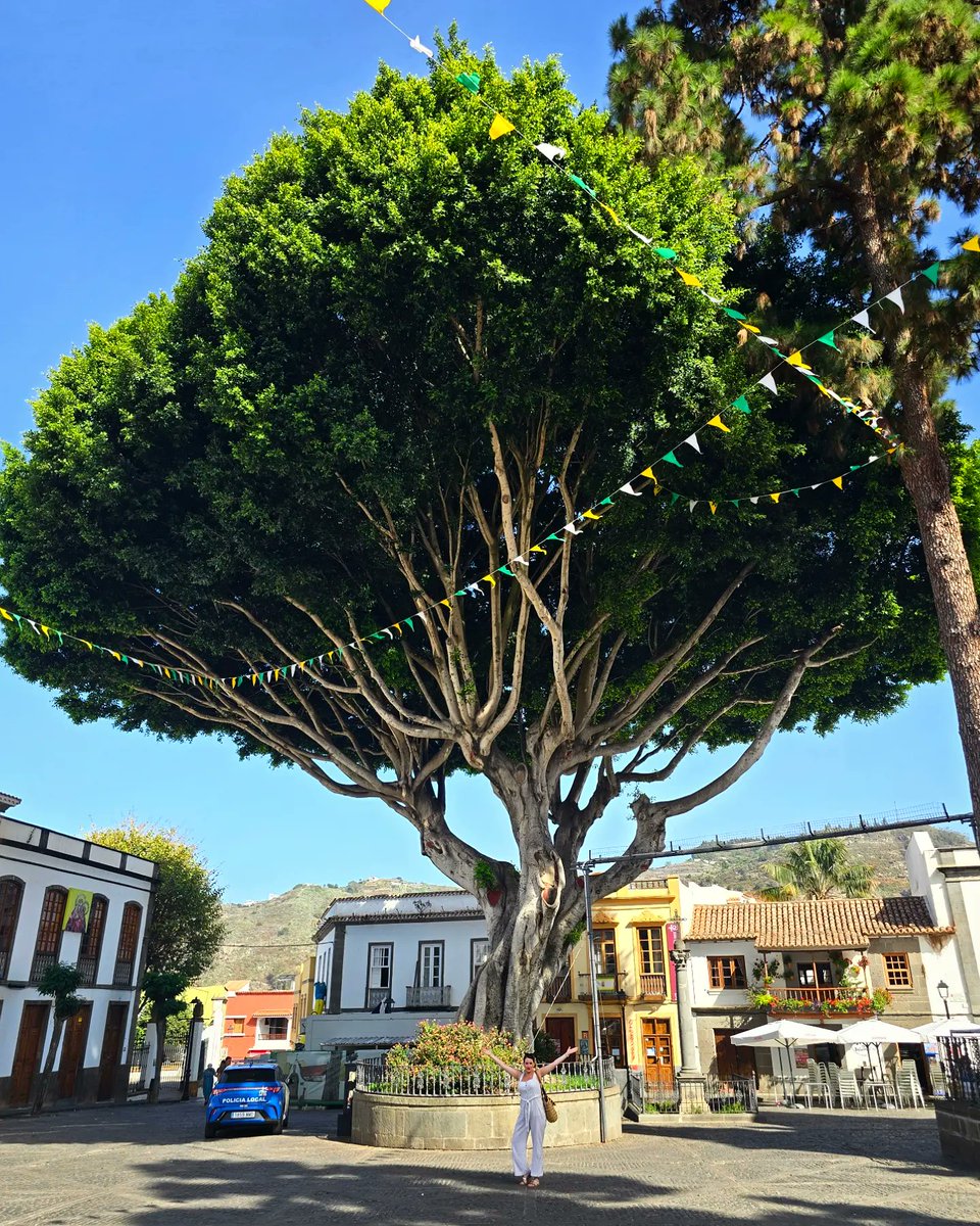 Núria Escalona tweet media