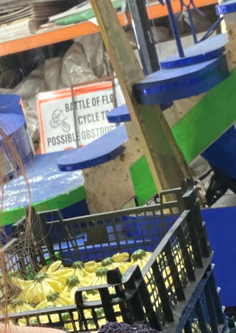 Alison Moss tweet media