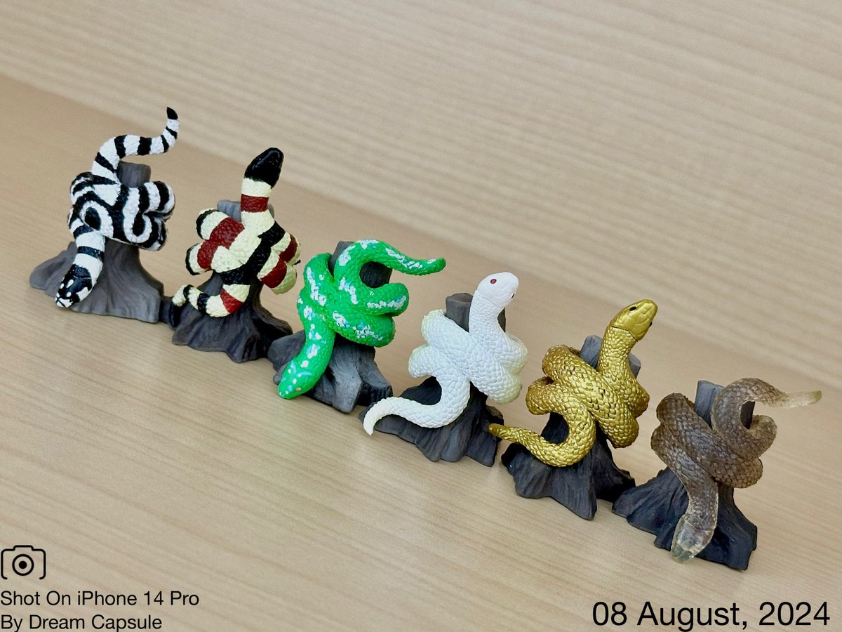 🌟新入荷ガチャ商品プレゼントCP🌟 蛇が美しく巻き付く🐍待望の第2弾は