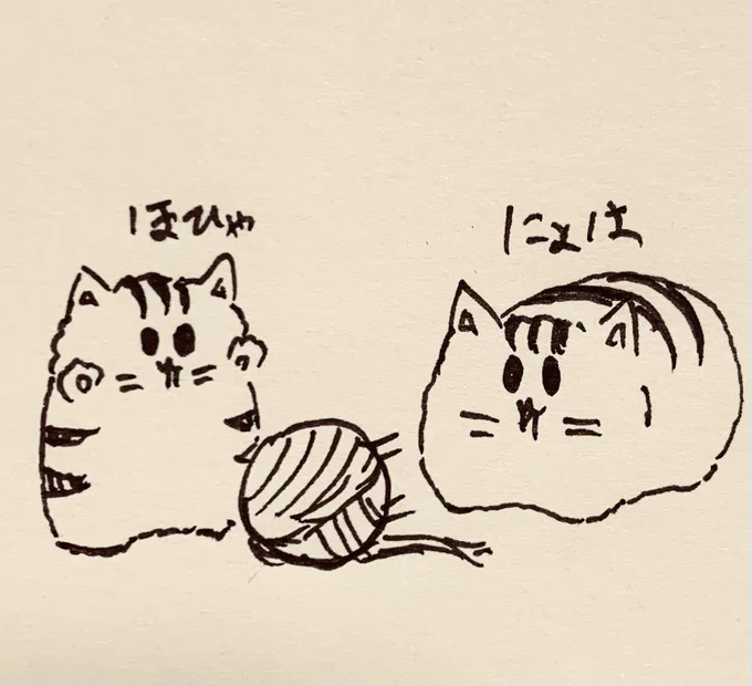 今日は猫の日… 
