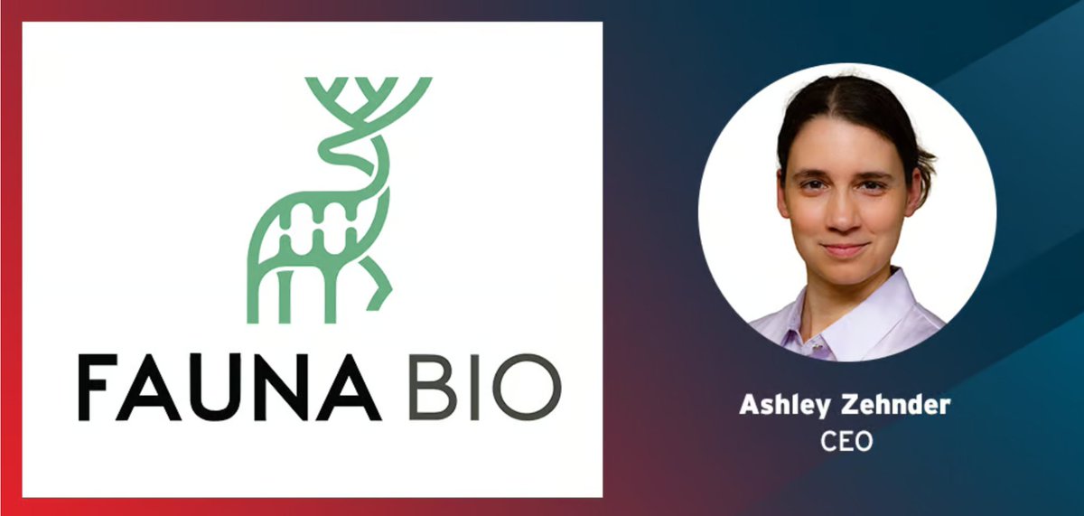 True Ventures (@trueventures) on Twitter photo "<a href="/faunabio/">Fauna Bio</a> is built on an idea that made veteran VCs do a double take," writes Nick Paul Taylor, highlighting Fauna as one of <a href="/FierceBiotech/">FierceBiotech</a>'s fifteen best biotechs of 2024.
Read about their different approach to biomedical drug discovery, and how co-founders <a href="/ashleyz413/">Ashley Zehnder</a>, Katie "<a href="/faunabio/">Fauna Bio</a> is built on an idea that made veteran VCs do a double take," writes Nick Paul Taylor, highlighting Fauna as one of <a href="/FierceBiotech/">FierceBiotech</a>'s fifteen best biotechs of 2024.
Read about their different approach to biomedical drug discovery, and how co-founders <a href="/ashleyz413/">Ashley Zehnder</a>, Katie
