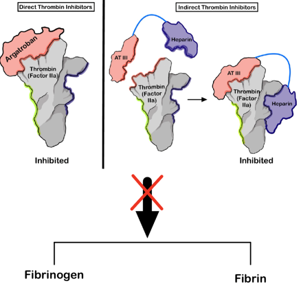 Conrad Fischer (@seefisch) on Twitter photo 