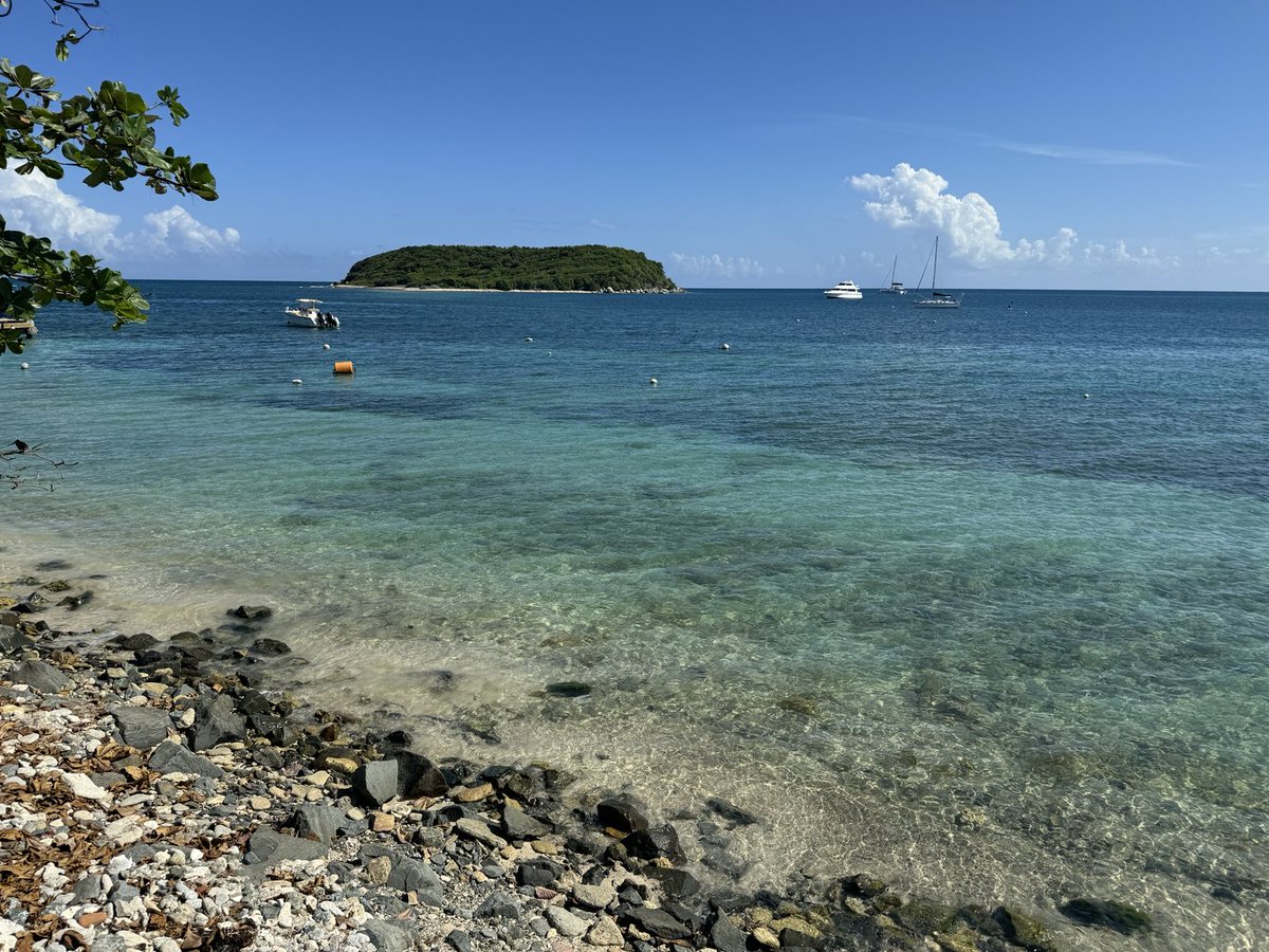 PastorP94's tweet photo. Esperanza, a small village in Vieque. Again beautiful . https://t.co/cLPxcC7Wxi