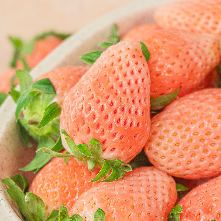 스스로 모에화하기 장인