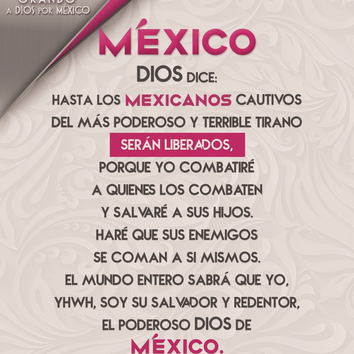 Febe Martínez tweet media