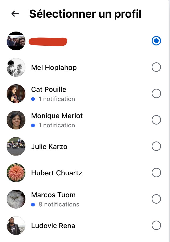 Chaque produit testé se transforme en un winner instantané. Le secret ? 

Des profils qui stimulent l'engagement des ads Facebook (que tu créer toi même ou + puissant avec une agence)

C'est ce que font les TONTONS de l'ecom mais ils vous le disent pas.

Grâce à la preuve