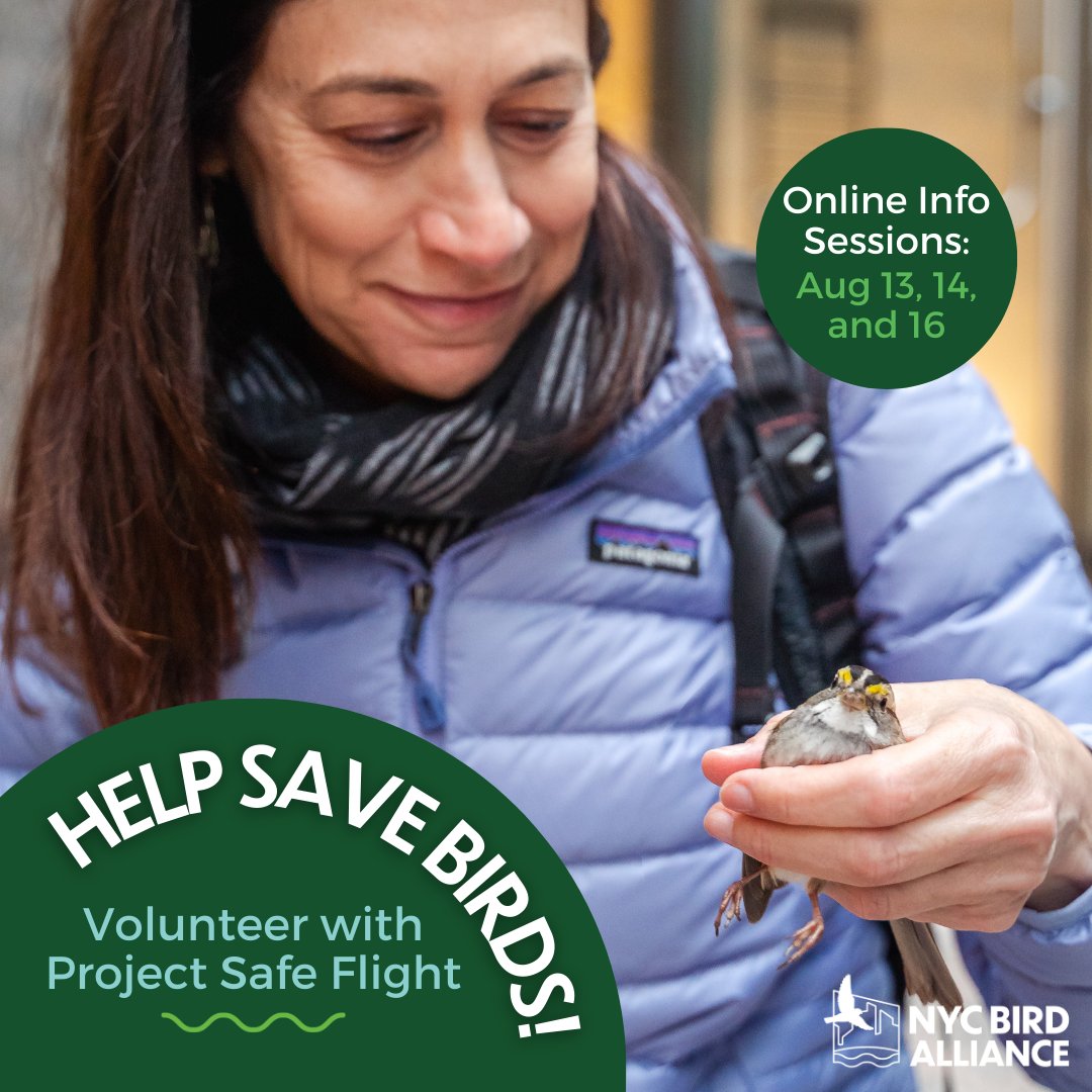 nycbirdalliance's tweet photo. Volunteer as a collision monitor with #ProjectSafeFlight and help make NYC a #birdsafe City!
🕊️ Sign up and learn more: https://t.co/fYdJUm4jVs https://t.co/zSSuCojOv6