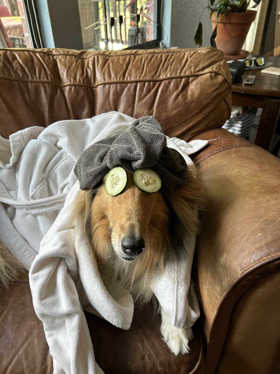 it’s not easy being me