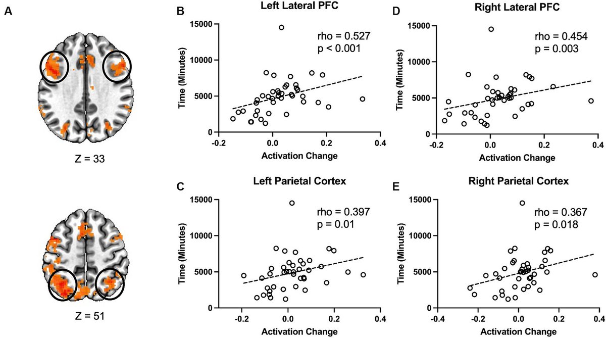 DHSchultz_'s tweet image. New paper published looking at how second language learning in older adults improves cognitive control and examining the brain changes underlying this improvement: frontiersin.org/journals/aging… Thanks to all coauthors, especially @SaidiLadan and @Zoha_Deldar