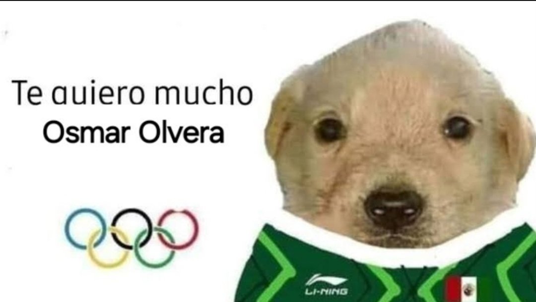 Politica_Basica's tweet photo. Tiene 20 años y es el primer mexicano en cuatro décadas en ganar dos medallas en los mismos juegos olímpicos.

Felicidades Osmar Olvera por el Bronce en el trampolín de 3 metros. https://t.co/LXbCBeYmVO