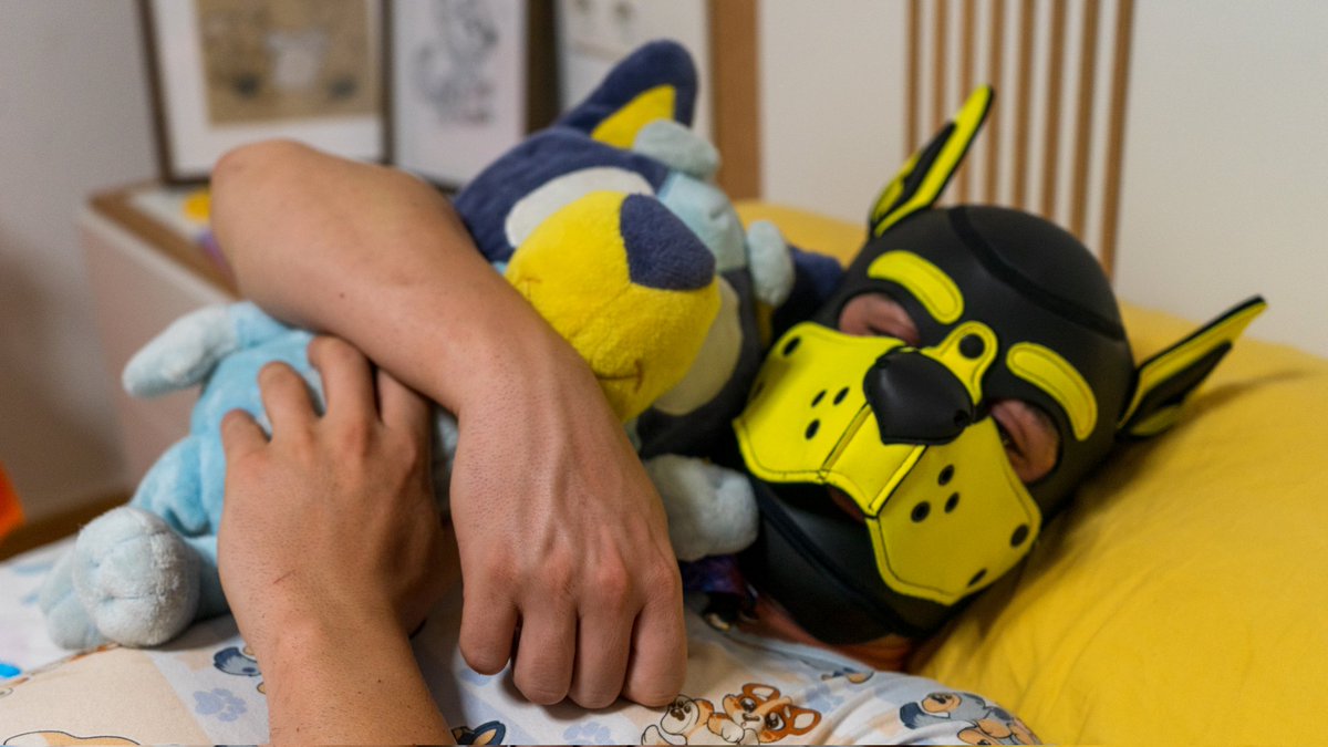Lil_pup_Archie's tweet photo. Summer naps are the best n///n After a day of fun and adventures, a little nap makes me wake up all ready to have even more fun!!! 😁 https://t.co/lroJG2zXVP