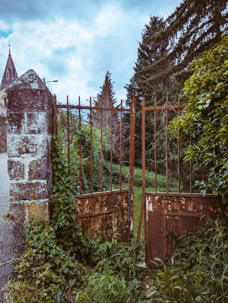 LdeSignalas's tweet photo. La porte est ouverte, vous pouvez entrer dans le jardin secret...
#Thursgate #ThePhotoHour
#StormHour #Trees
@keeper_of_books https://t.co/vhJt2oro1m