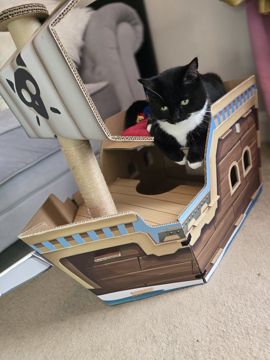 PhoebeOnTV's tweet photo. HAPPY INTERNATIONAL CAT DAY &amp; CAT QUEST III RELEASE DAY!! 🐾

You have no idea how long it took me to get her in this position!

Thank you so much @Kepler_Interact/@TheGentlebros for such cool new #gifted toys!😻❤️
TOTALLY DIDN'T EDIT THE ARTWORK, K THANKS BYEEEEE! 🐾 https://t.co/KDZWlcjgDo