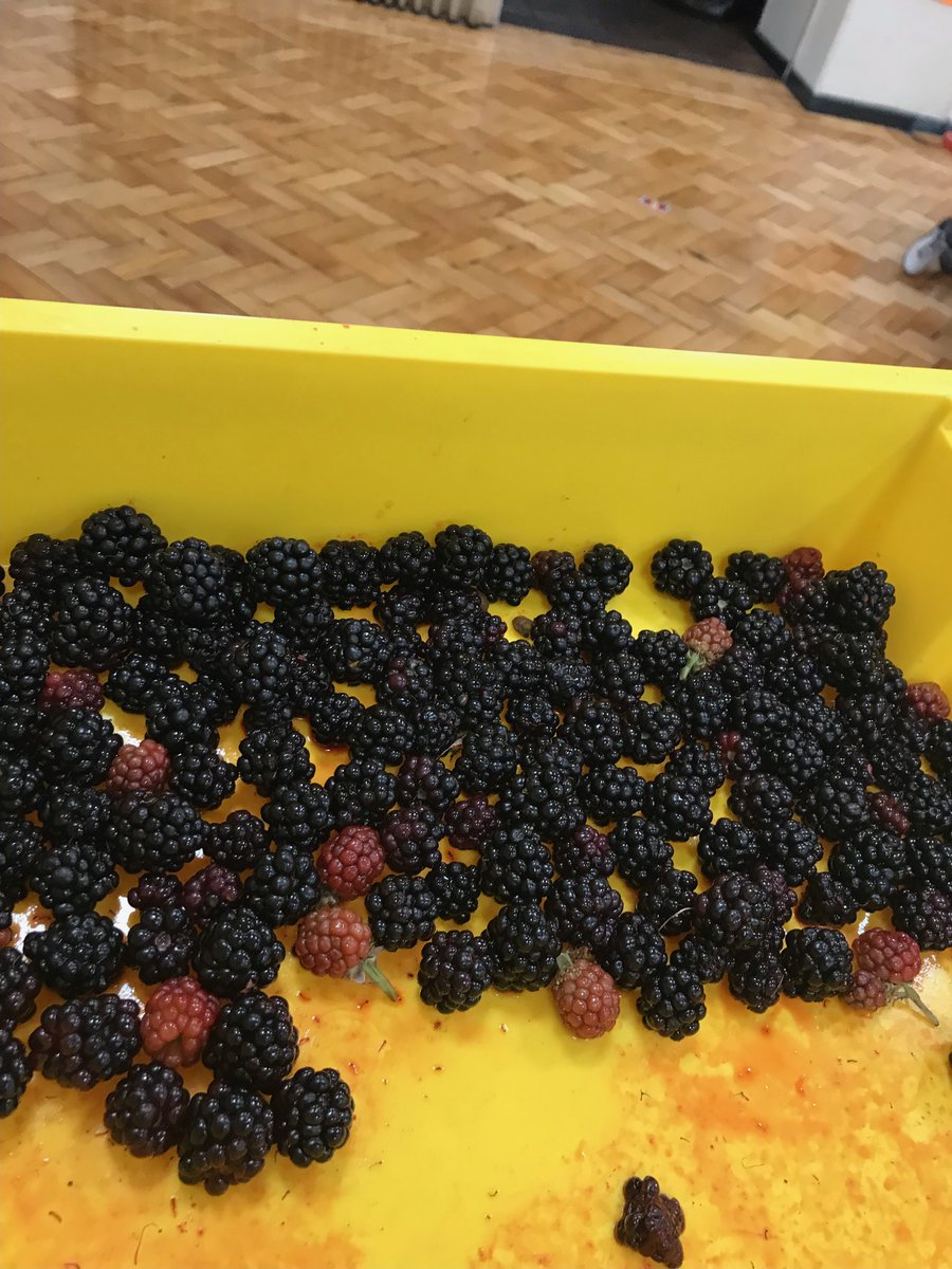 _Lifecentre's tweet image. We've been having Forest School fun at @StJosephsM5 &amp;amp; St Lukes HAF holiday clubs this week, exploring nature. @mrdelves #HAF2024 #SalfordSummerOfFun