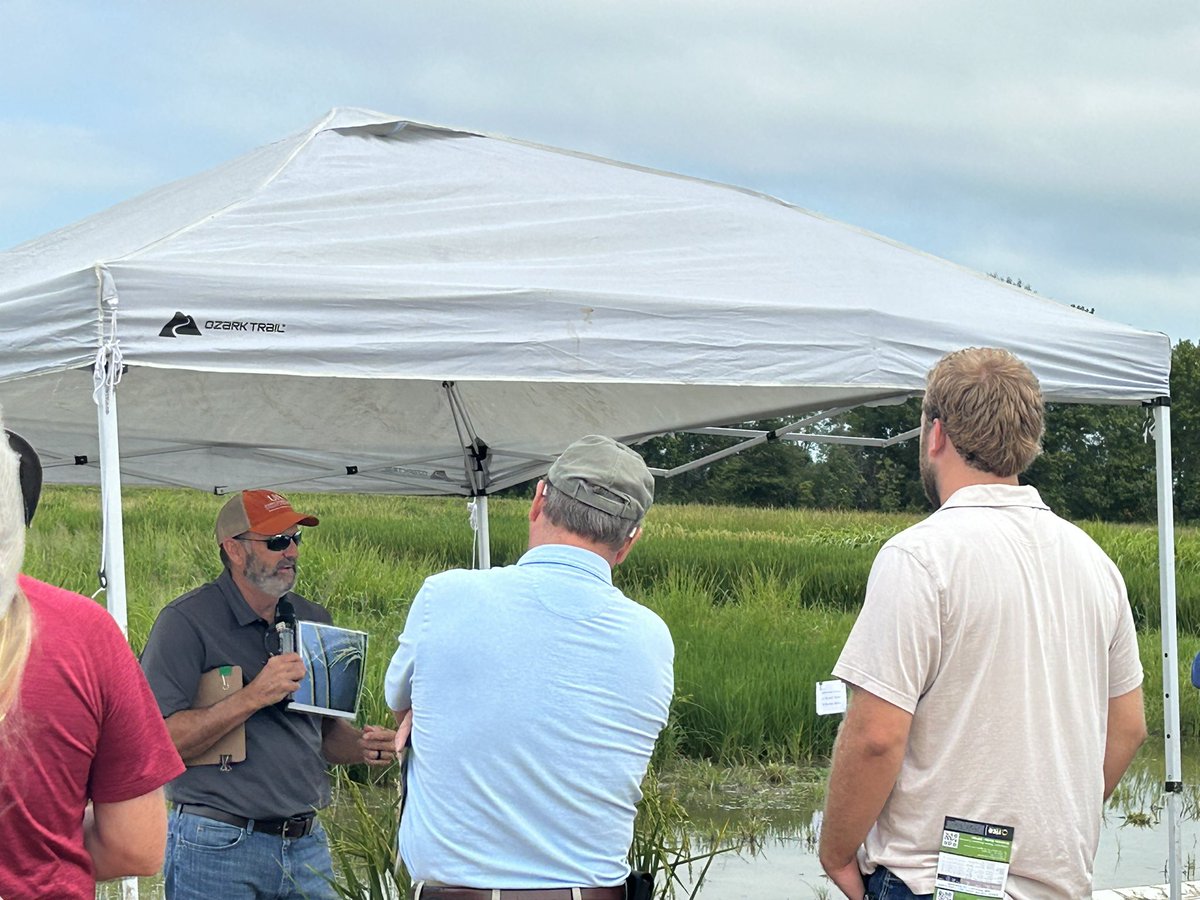 Dr. Scott back in action at the <a href="/AginArk/">UA System Div of Ag</a> NERREC Rice Field Day. <a href="/AgWriterArk/">🧨 Ferndale Int’l Observatory</a> 

Thankful for the beautiful weather.