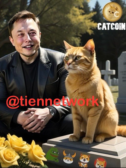 Let's meet on the moon with #catcoin <a href="/elonmusk/">Elon Musk</a>. Will you come with us to the moon? Please follow me.

#cat #Catcoin #CAT #Cat #Binance