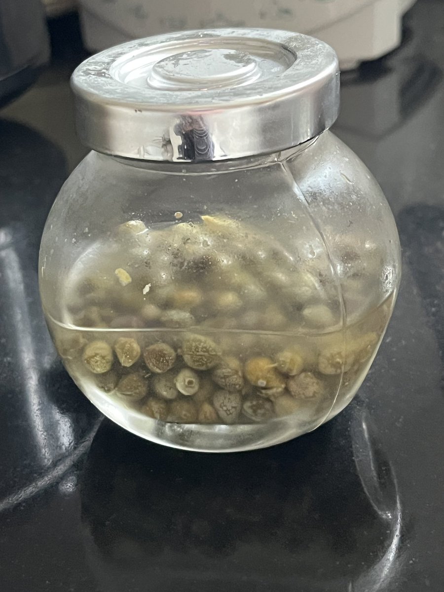 LizARees's tweet photo. @melindahaunton Capers decanted as the neck of the jar they come in is too small for a spoon #DesignFault #JacobinDay https://t.co/jUikYNNLGF