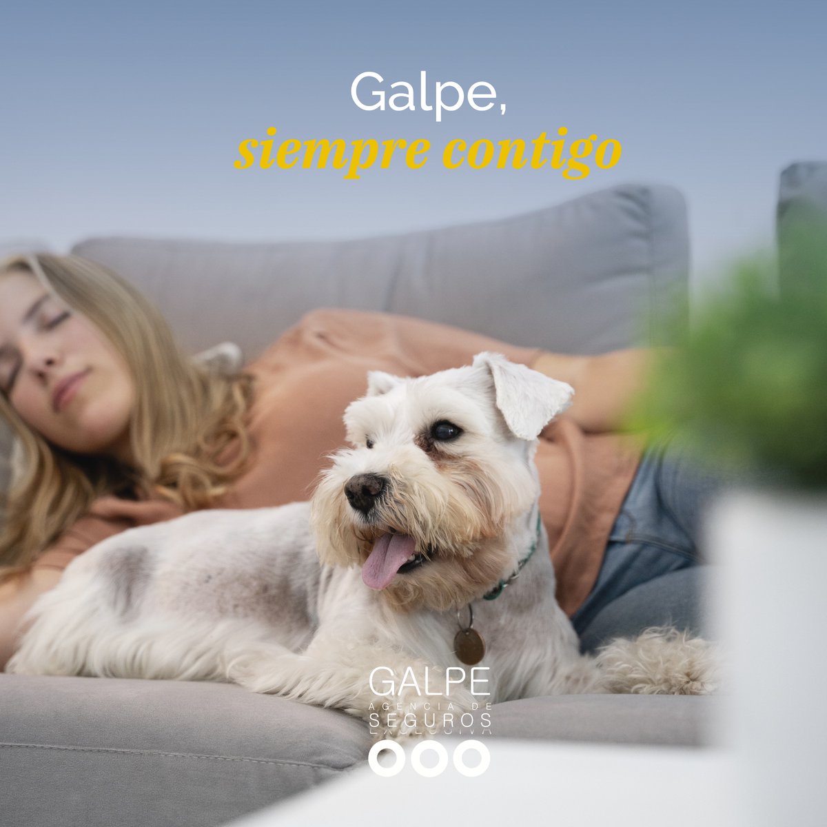 🕘📆 Galpe está contigo los 365 días del año, ofreciéndote la tranquilidad que necesitas. Nuestro compromiso es estar siempre a tu lado, brindando el mejor servicio y atención para que te sientas seguro y respaldado, sin importar la fecha o la hora.

🔗 galpeagenciadeseguros.com