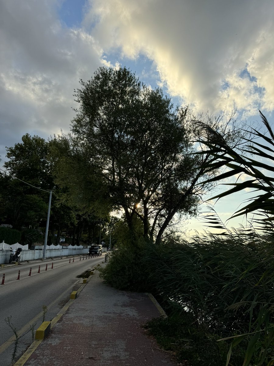 Aklımın içinde adım atacak yer yok. J.S