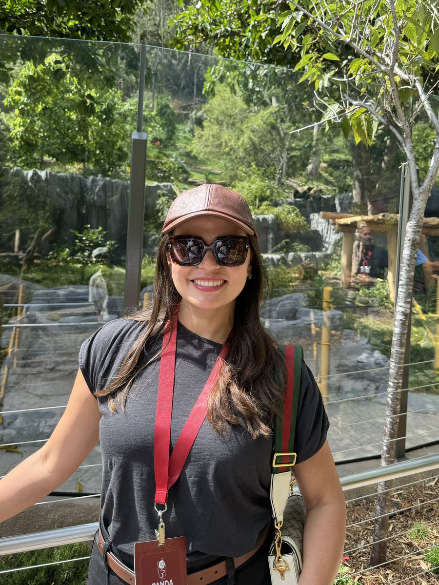 RaoulMartinezTV's tweet image. Took the fam to get a sneak peek of the pandas! 🐼💖🐼💖 

@sandiegozoo  #PanDiego  #americasfinestpandas #Pandas #Panda #SanDiego #Zoo #SanDiegoZoo #PandaRidge #YunChuan  #XinBao @fox5sandiego 
#PandaDay  @XtineMar