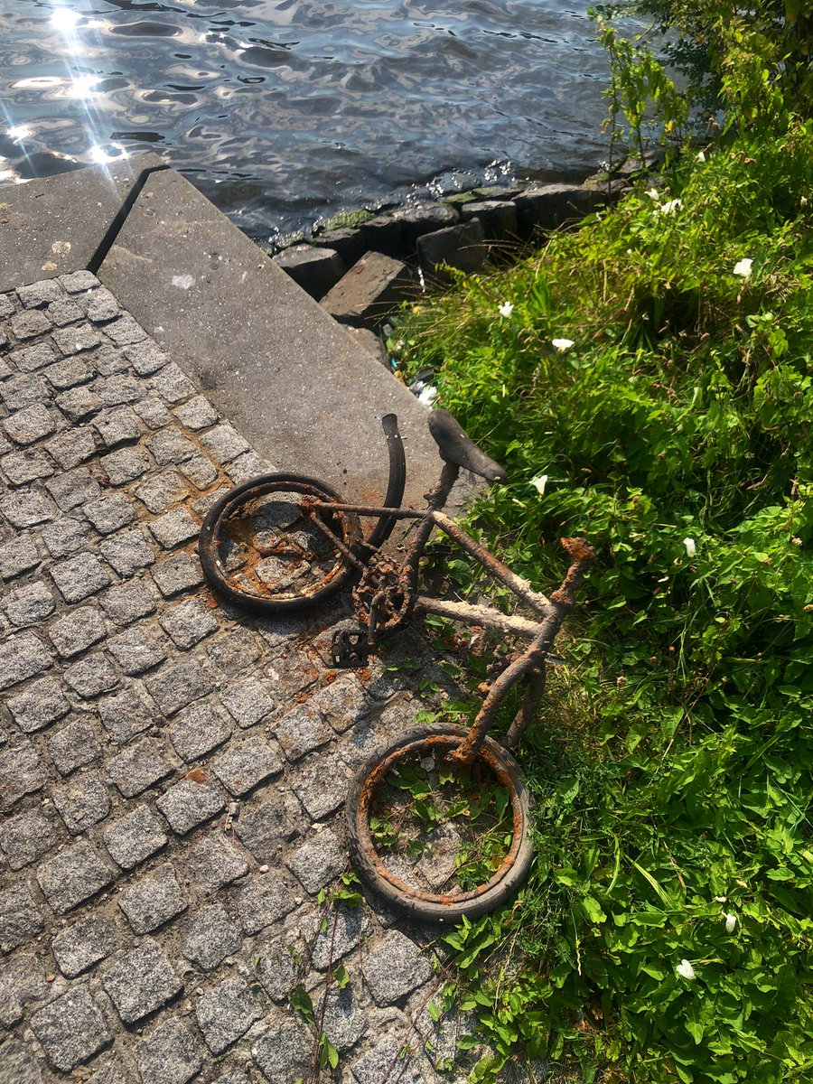 nuum (@nuum2000) on Twitter photo 