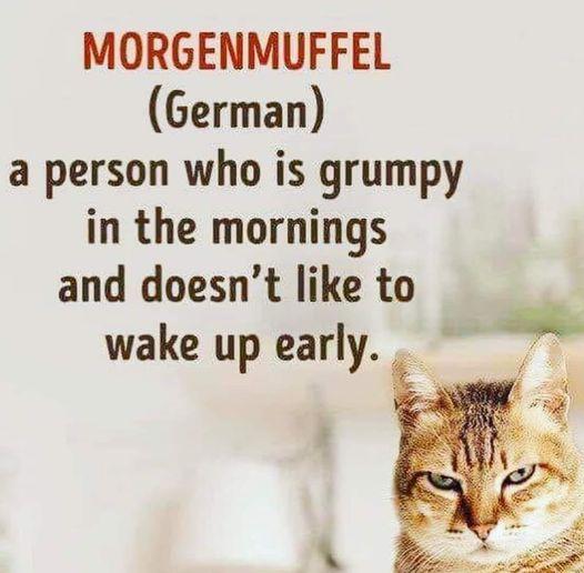 Papa Woof und Krampus und Bleaken (@woofknight) on Twitter photo 