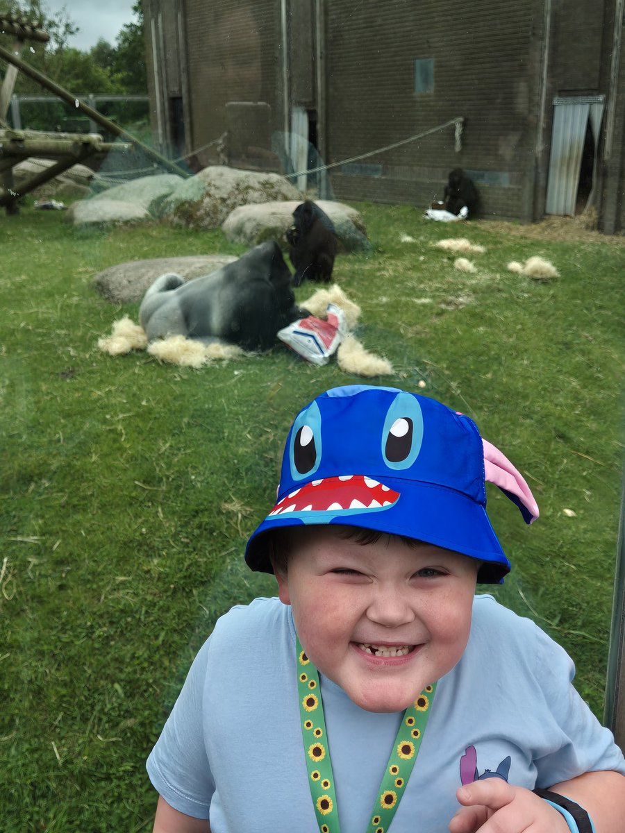 ms_bex87's tweet photo. We had a lovely time at Blackpool Zoo https://t.co/irViTbgroL