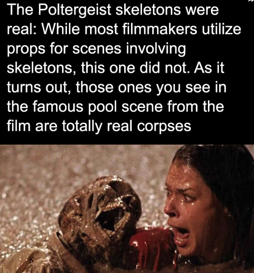 TCWTMedia's tweet image. 🎬👻 Terrifying Thursday Fact! 👻🎬
Did you know that the horror movie *Poltergeist* used real skeletons in its famous pool scene? 😱 Talk about adding a whole new level of terror to the set. 🤯
 #TerrifyingThursday #Poltergeist #RealSkeletons