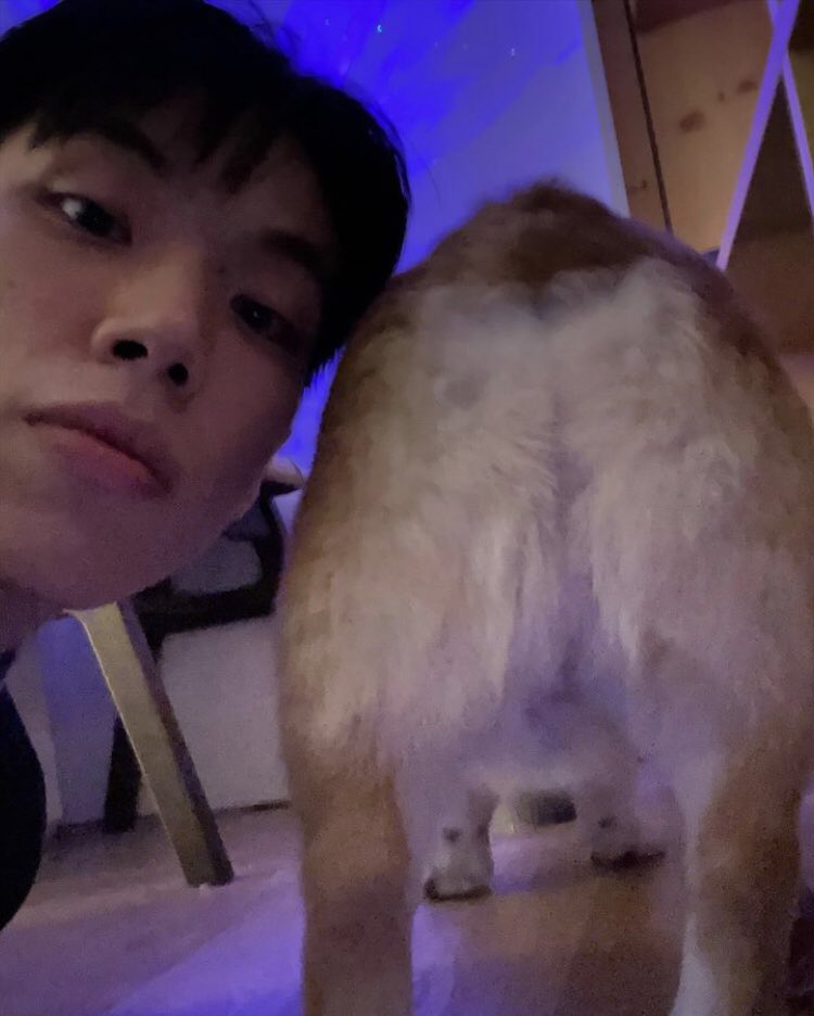 vapourtape's tweet photo. quick selfie กลัวคิตตี้ลืมหน้า 🤳🏻🐕 https://t.co/okok3AKgm0
