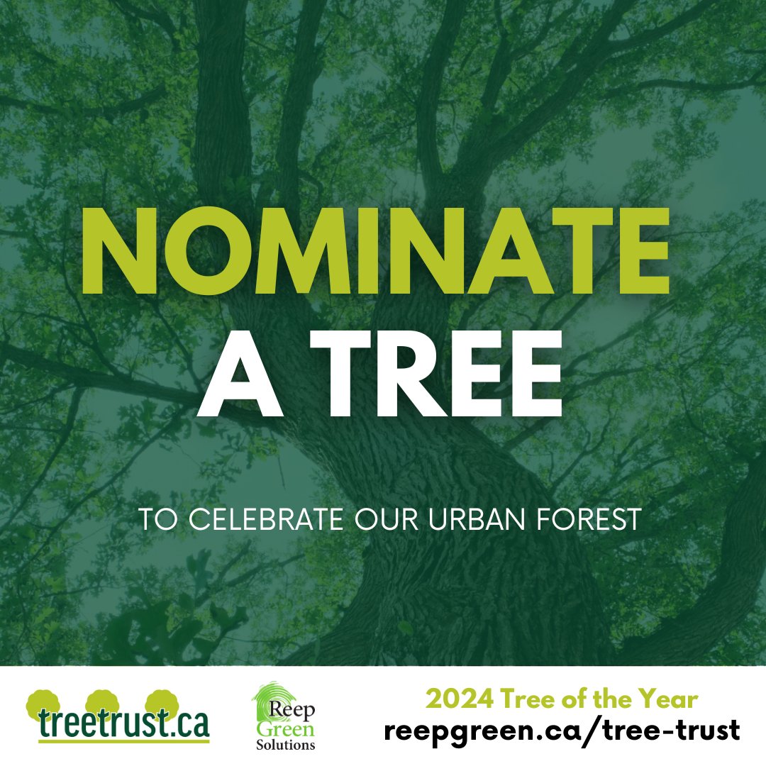 Reep Green Solutions tweet media