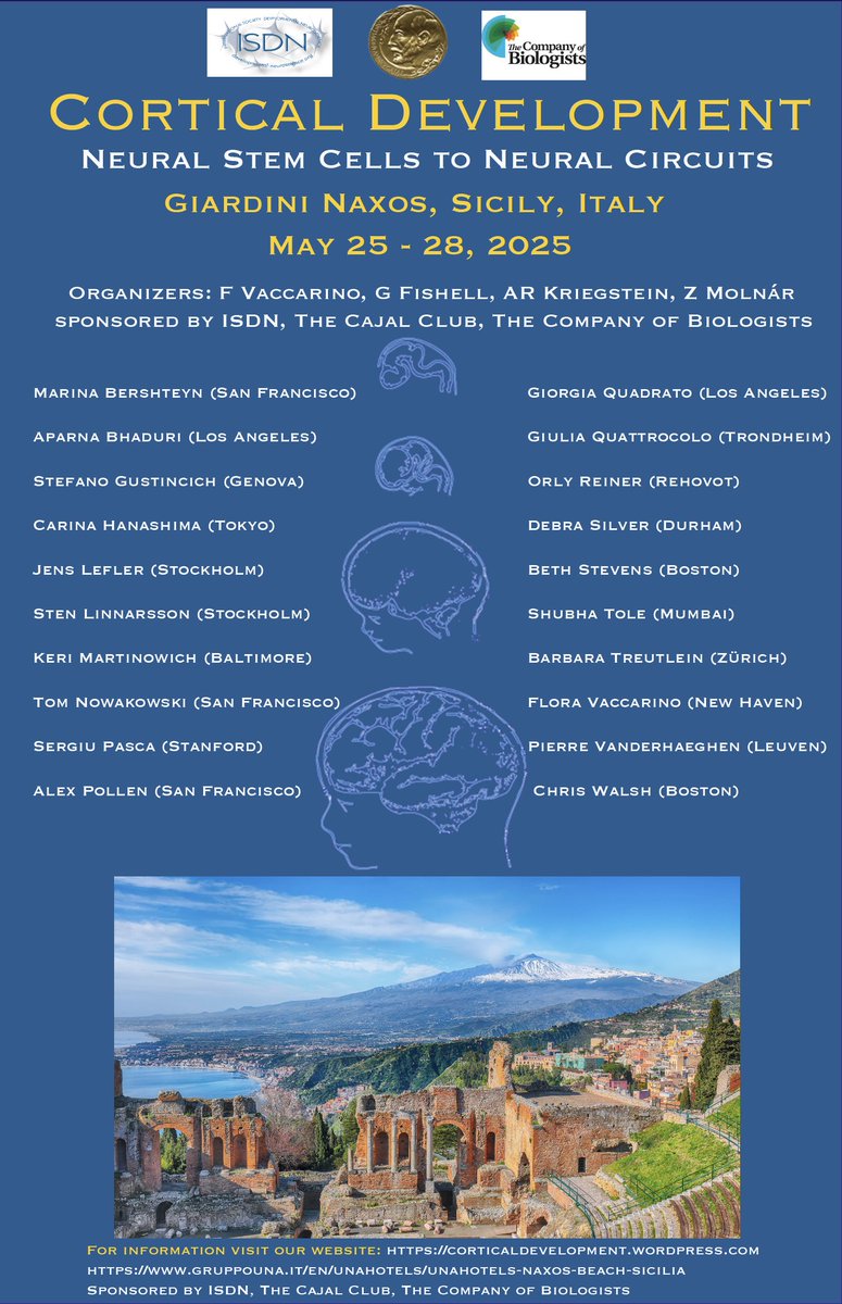Zoltan Molnar (@zoltanmolnar64) on Twitter photo Please hold the date for the next CORTICAL DEVELOPMENT MEETING in Giardini Naxos, Sicily, Italy - May 25-28, 2025 @corticaldev2022 <a href="/Kriegsteinlab/">Arnold Kriegstein</a> <a href="/GordFishell/">Gord Fishell</a> <a href="/FloraVaccarino/">Flora Vaccarino</a> Please hold the date for the next CORTICAL DEVELOPMENT MEETING in Giardini Naxos, Sicily, Italy - May 25-28, 2025 @corticaldev2022 <a href="/Kriegsteinlab/">Arnold Kriegstein</a> <a href="/GordFishell/">Gord Fishell</a> <a href="/FloraVaccarino/">Flora Vaccarino</a>