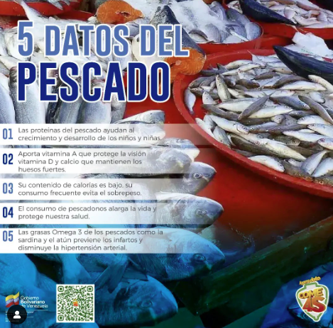 #AgarraDato | Conoce 5 datos del pescado 🐟 y empátate en la onda 4S. (Sano, Sabroso, Seguro y Soberano)