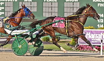 Sharp ‘Buzzsaw’ set for Dan Patch

What’s in a name? Charlie Weaver always hopes it’s a bit of good fortune.
bit.ly/4dbNG9b
<a href="/HarnessKenW/">Ken Weingartner</a> <a href="/HoosierPark/">Harrah's Hoosier Park</a> 

Dean Gillette Photo

#harnessracing