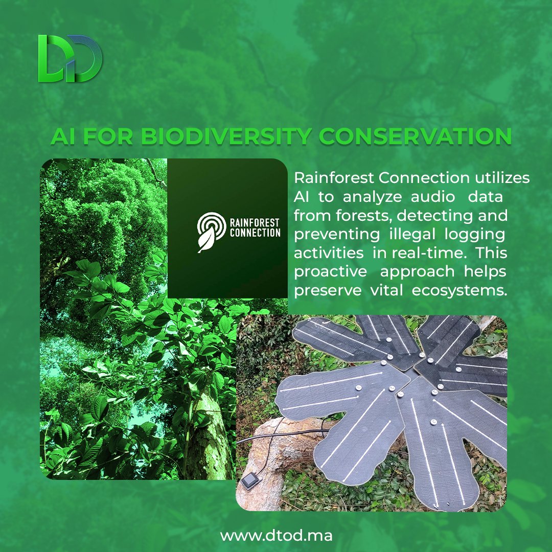 DDecarbonize tweet picture