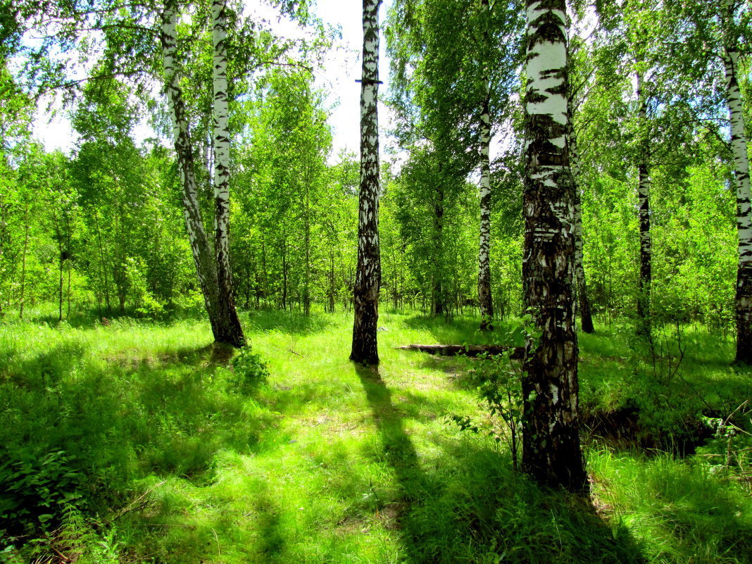 Илона Герольская (@ilona_gerolskay) on Twitter photo <a href="/cukushka/">Людмила</a> <a href="/actwives/">Ирина Морозова</a> <a href="/gl0riyas/">Глория</a> <a href="/nina55055/">Нина</a> <a href="/_fantaziya/">Елена</a> <a href="/javorskaya/">Эльвира Яворская</a> <a href="/polina_lapidus/">Полина Лапидус</a> <a href="/karina_lando/">Карина Ландо</a> <a href="/interesn0vsem/">Ольга Воробьева</a> <a href="/heroldbarton/">herold barton</a> <a href="/HumbleIndian/">Vivek Hindustani</a> <a href="/1hTkMJaMalfwQZS/">前田十九一</a> <a href="/DerekPa30582481/">Derek Paterson</a> <a href="/Jilliemary/">Jillian Peeling</a> <a href="/Kaia_Cindy/">❣KAIA❣</a> <a href="/marinavibu609g/">🌻MARINA🌻</a> <a href="/leonalombaerts/">Marie-Elisabeth</a> <a href="/DerekPa16641676/">Derek Paterson</a> <a href="/karenslinn43/">Karen ♥️😘🐶🤗💐♥️🐶</a> <a href="/jill_magnussen/">Jill Magnussen</a> <a href="/japjitravel/">Japji Travel</a> <a href="/CiviRoj/">mam roj civi</a> <a href="/coogan_janine/">janine coogan</a> <a href="/Bianca15048017/">Pantious Bianca</a> <a href="/Blossom15401269/">🍃🌸🍃 Blossom🍃 🌸🍃</a> <a href="/SebastianHine/">Sebastian Hine</a> <a href="/Mike6Truth/">The truth</a> <a href="/Guyatt671/">Nightman......</a> <a href="/Indinlily/">Joyce scott</a> <a href="/aziz559935/">A.F.S ALBEDNAH</a> <a href="/lex31555/">Lex✍️ 'TweetRomantic'</a> <a href="/MiemsVan/">Miems Jansen van Vuuren</a> <a href="/KarenBarryDavi1/">Karen Barry-Davies</a> <a href="/JackConnie/">Connie Jack</a> <a href="/courtneym8216/">Courtney madenford</a> <a href="/AnthonyJBarton/">Anthony J Barton</a> <a href="/skp__2016/">SKP</a> <a href="/NaturalParadis5/">Natural Paradise</a> <a href="/cdeka678/">Dr.chinmoy deka MA, MPhil, PhD, SLET.</a> <a href="/BrownieJohnston/">brownie johnston</a> <a href="/pampisford/">Andrew Kevin Porter</a> <a href="/monicasloves/">Monica Cates</a> <a href="/Shirley82829043/">Shirley Dunn</a> <a href="/Courage_4_All/">ferdos فردوس</a> <a href="/roads2/">Susan Nelson</a> <a href="/cukushka/">Людмила</a> <a href="/actwives/">Ирина Морозова</a> <a href="/gl0riyas/">Глория</a> <a href="/nina55055/">Нина</a> <a href="/_fantaziya/">Елена</a> <a href="/javorskaya/">Эльвира Яворская</a> <a href="/polina_lapidus/">Полина Лапидус</a> <a href="/karina_lando/">Карина Ландо</a> <a href="/interesn0vsem/">Ольга Воробьева</a> <a href="/heroldbarton/">herold barton</a> <a href="/HumbleIndian/">Vivek Hindustani</a> <a href="/1hTkMJaMalfwQZS/">前田十九一</a> <a href="/DerekPa30582481/">Derek Paterson</a> <a href="/Jilliemary/">Jillian Peeling</a> <a href="/Kaia_Cindy/">❣KAIA❣</a> <a href="/marinavibu609g/">🌻MARINA🌻</a> <a href="/leonalombaerts/">Marie-Elisabeth</a> <a href="/DerekPa16641676/">Derek Paterson</a> <a href="/karenslinn43/">Karen ♥️😘🐶🤗💐♥️🐶</a> <a href="/jill_magnussen/">Jill Magnussen</a> <a href="/japjitravel/">Japji Travel</a> <a href="/CiviRoj/">mam roj civi</a> <a href="/coogan_janine/">janine coogan</a> <a href="/Bianca15048017/">Pantious Bianca</a> <a href="/Blossom15401269/">🍃🌸🍃 Blossom🍃 🌸🍃</a> <a href="/SebastianHine/">Sebastian Hine</a> <a href="/Mike6Truth/">The truth</a> <a href="/Guyatt671/">Nightman......</a> <a href="/Indinlily/">Joyce scott</a> <a href="/aziz559935/">A.F.S ALBEDNAH</a> <a href="/lex31555/">Lex✍️ 'TweetRomantic'</a> <a href="/MiemsVan/">Miems Jansen van Vuuren</a> <a href="/KarenBarryDavi1/">Karen Barry-Davies</a> <a href="/JackConnie/">Connie Jack</a> <a href="/courtneym8216/">Courtney madenford</a> <a href="/AnthonyJBarton/">Anthony J Barton</a> <a href="/skp__2016/">SKP</a> <a href="/NaturalParadis5/">Natural Paradise</a> <a href="/cdeka678/">Dr.chinmoy deka MA, MPhil, PhD, SLET.</a> <a href="/BrownieJohnston/">brownie johnston</a> <a href="/pampisford/">Andrew Kevin Porter</a> <a href="/monicasloves/">Monica Cates</a> <a href="/Shirley82829043/">Shirley Dunn</a> <a href="/Courage_4_All/">ferdos فردوس</a> <a href="/roads2/">Susan Nelson</a>