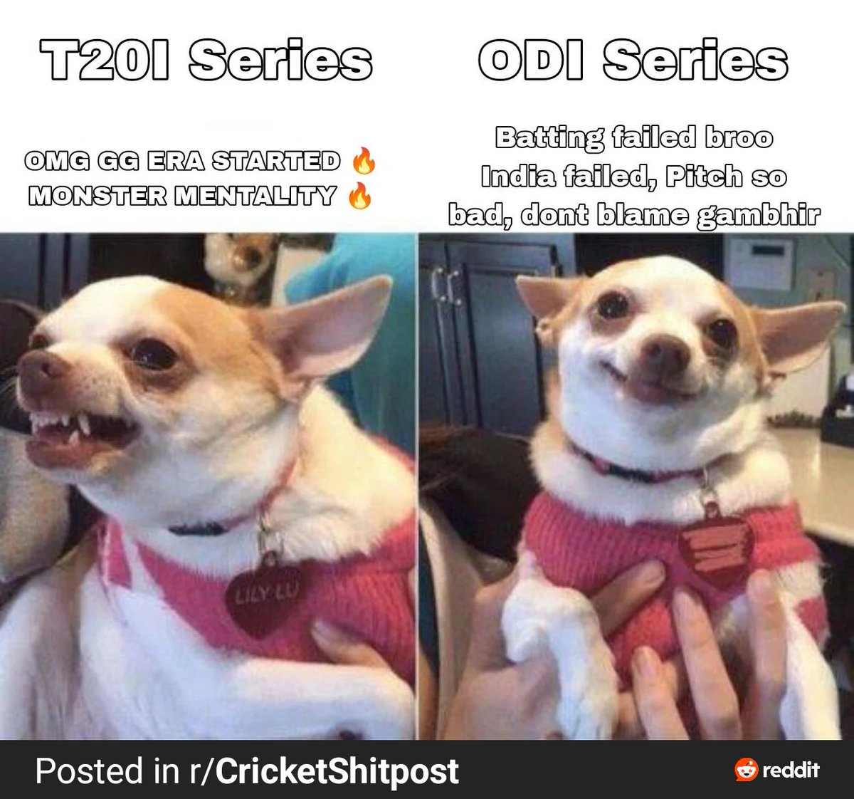 PopcornParadox's tweet photo. Dhoni Haters be like https://t.co/5pSQiGhxfZ