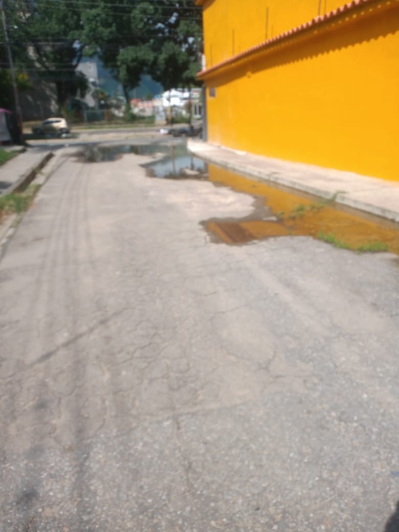 Limón Activo tweet media