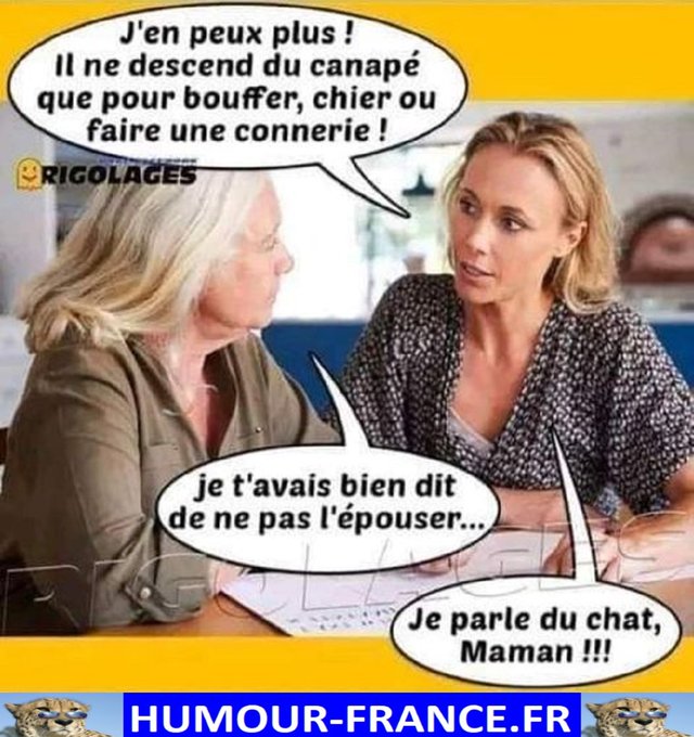 text alternatif