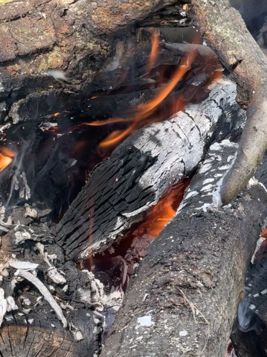 JustGetWheel's tweet image. I love a nice fire with my coffee in the morning. #morningroutine