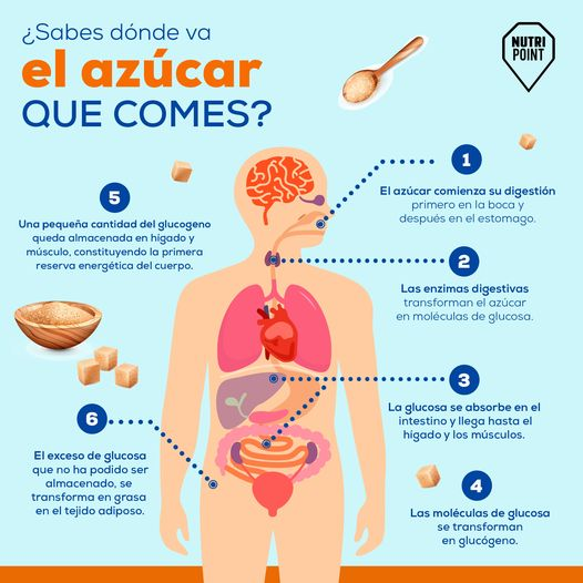 elzorrotacneno's tweet photo. Recibo diariamente una docena de mensajes, mas o menos, con este tenor:
"Hola , creo tener una muy buena condición física, gozo de muy buena salud y muy buenos hábitos alimenticios dese hace mucho tiempo. 
Tengo diagnosticado hipercolesterolemia, mantengo niveles altos , ya me pusieron un stent hace 8 años tengo ahora 46.  
Hago deporte, hago ayuno, tomo diario mis patillas etc.  Que recomienda hacer para bajar los niveles de colesterol?  
¿Se pueden reducir la obstrucción de las arterias?".

Esta persona goza de muy buena salud, tiene muy buenos hábitos alimenticios, practica deporte, realiza ayunos...…pero se preocupa por un diagnóstico de colesterol elevado.
EL COLESTEROS NO ES MALO, es mas, ayuda en la formación de las hormonas, por ejemplo.
El tema radica en la campaña de miedo que se realizó hace mas de 40 años criminalizando al colesterol, especialmente a las carnes animales, para esconder al verdadero enemigo: El azúcar y los carbohidratos refinados.
Carbohidratos simples como el azúcar, harina y leche refinadas, así como las frutas, aumentan los triglicéridos, sino practicas deporte o actividad física ya que se convierten en triglicéridos y se almacenan como grasa.
NO SE HAGAN PROBLEMAS: CONSUMAN CARNES CON VERDURAS, Y ELIMINEN LOS CARBOHIDRATOS REFINADOS, ESPECIALMENTE EL AZÚCAR.