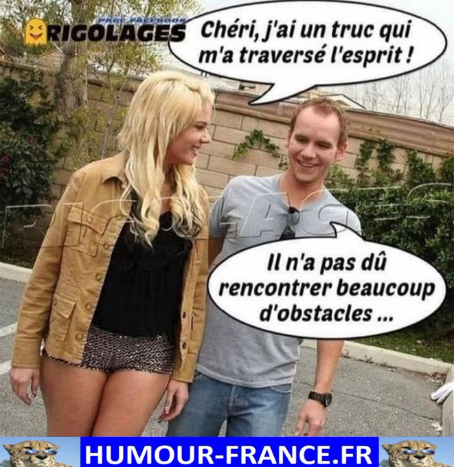 text alternatif