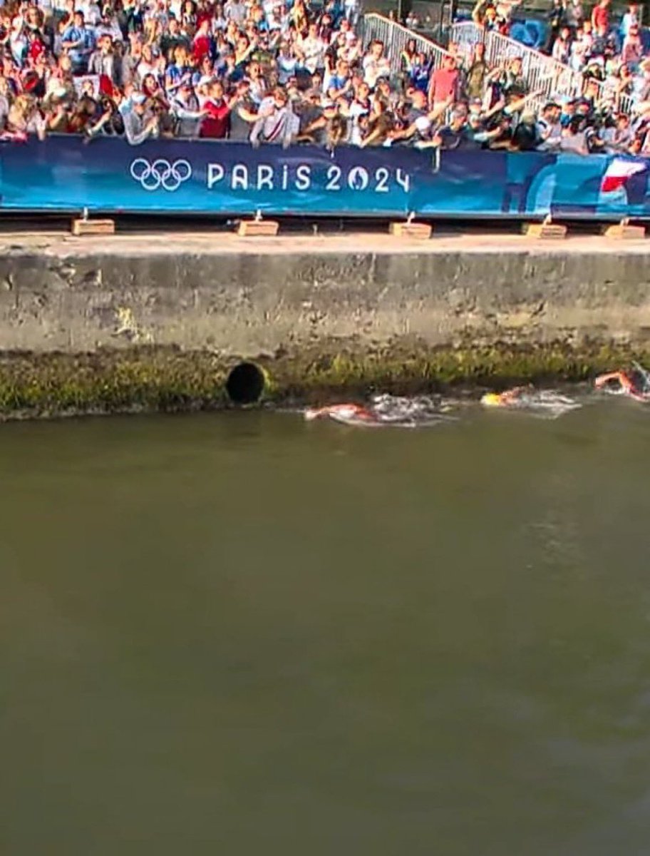 orikron's tweet image. Athletes swimming next to a drainage pipe in the River Seine...