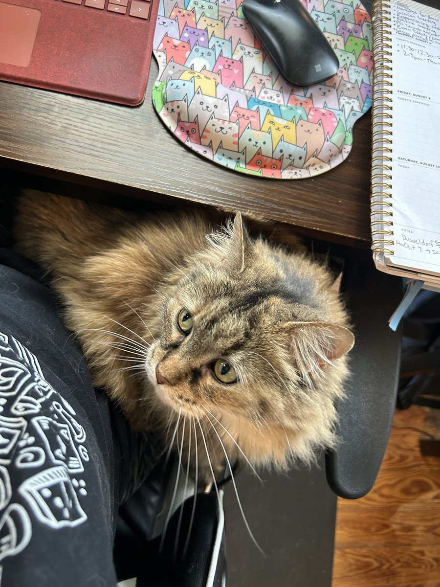 TokenGaymer's tweet image. Leaving the babies again. This time it’s to go to Essen for #SPIEL! Who will I see there!?