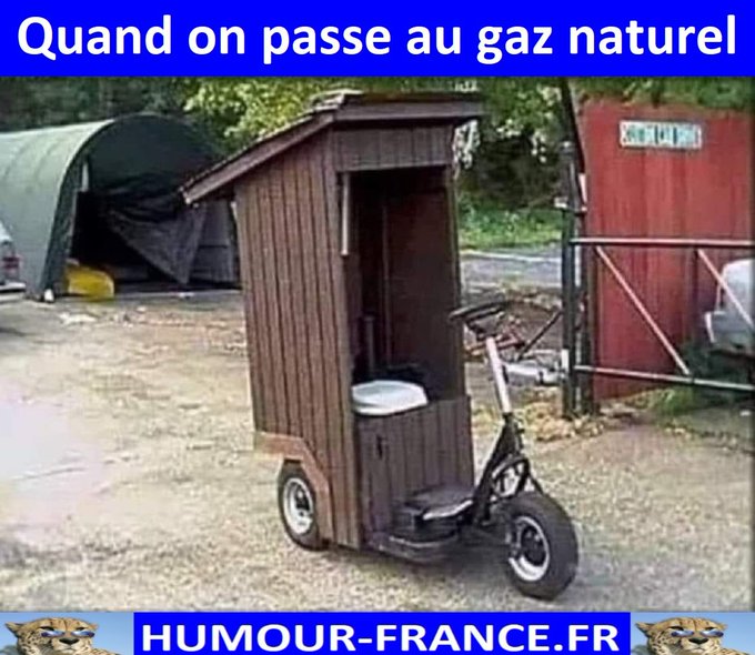 text alternatif