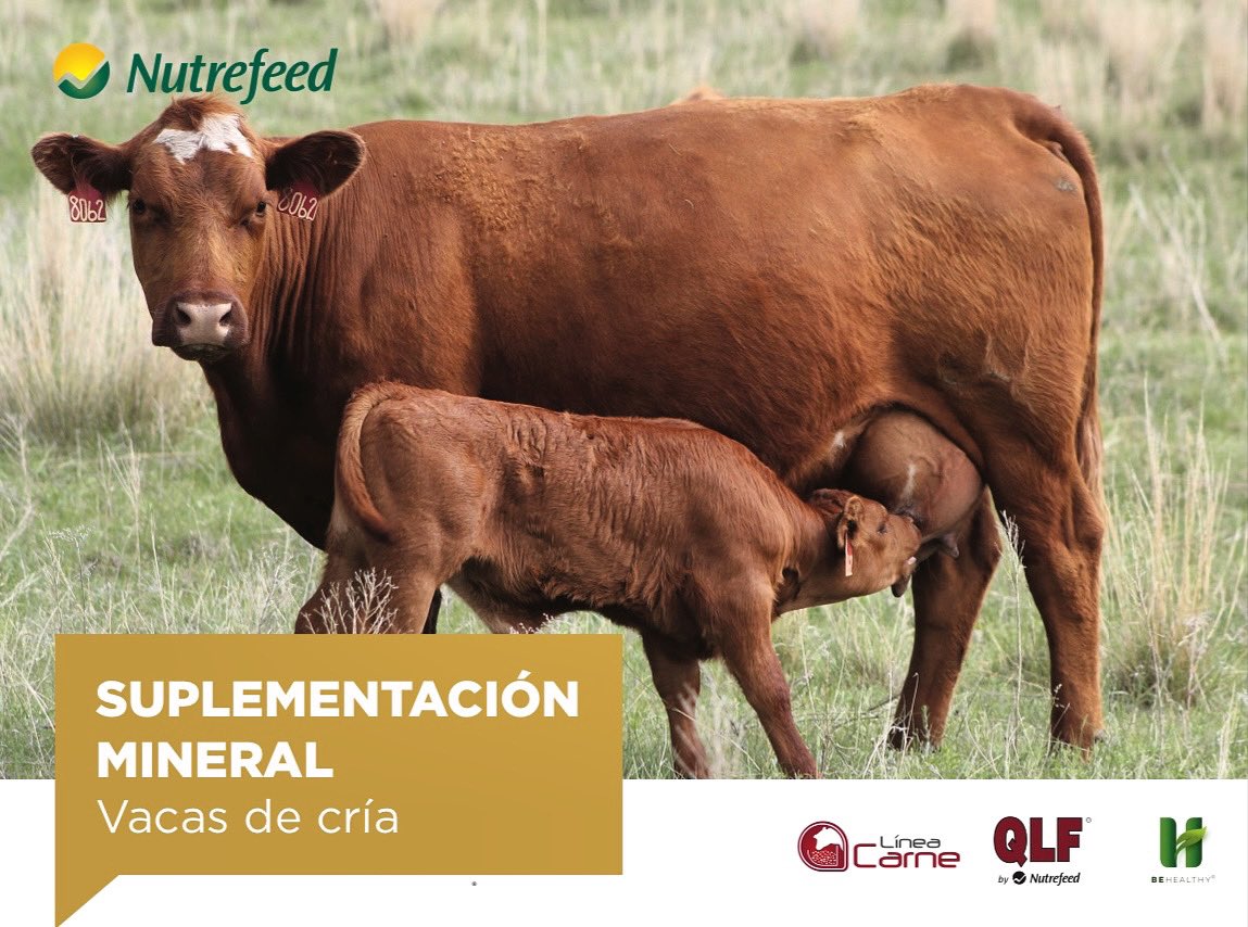 Nutrefeed S.A. tweet media