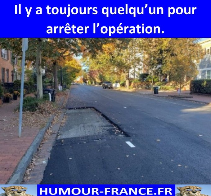 text alternatif