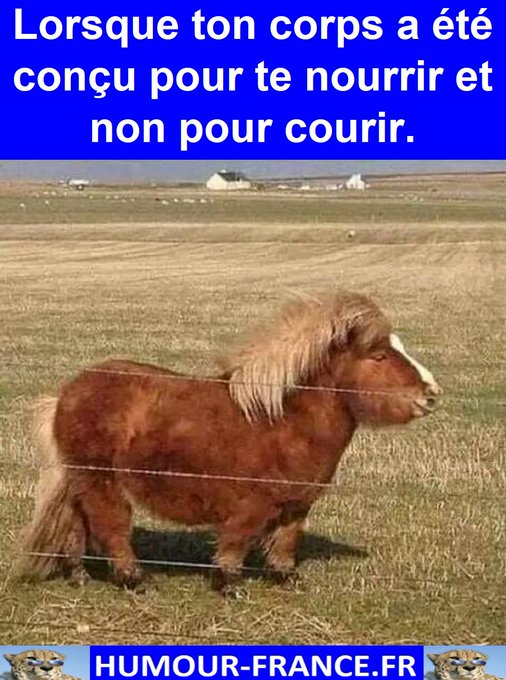 text alternatif
