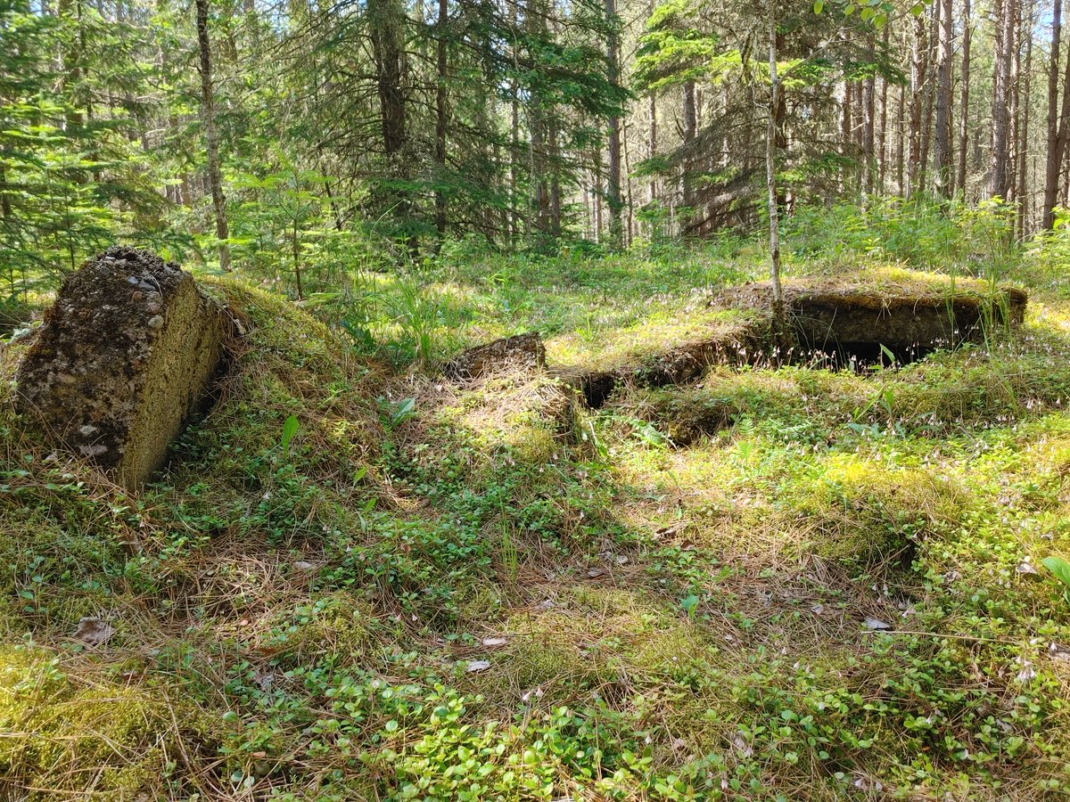 OntarioParks's tweet photo. You may be shocked to find a vital part of Canada’s contribution to World War Two.

Join @NeysProvPark for a walk through Area One to witness the remains of POW Camp 100 and catch a glimpse of the stories they hold for #TakeAHikeDay. 🚶🌲

Let's go: https://t.co/ML6t9lImCa https://t.co/2k6mjnrbNW