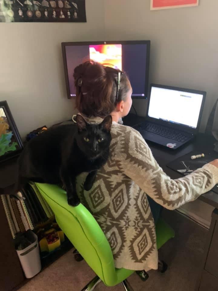 USGS_KS's tweet photo. Purrrfect day to work from home! 🐱 #InternationalCatDay, do you have a pet co-worker at home? Cat or Dog? #Cats #CatLovers #PetCoWorker #WorkFromHome #HomeOfficeLife #FelineFriends #CatOrDog https://t.co/2CBkmiUlAn
